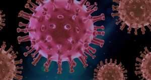 virus, covid, science-4937553.jpg